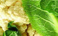 Рецепты диетических блюд из цветной капусты
